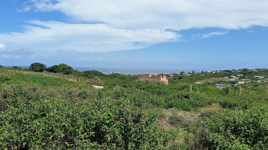 0 Bedroom Property for Sale in Forest Downs Eastern Cape